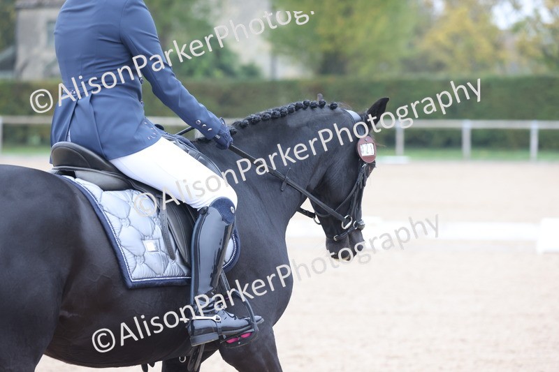 20251012-0162 - Class 1 - Prelim 5