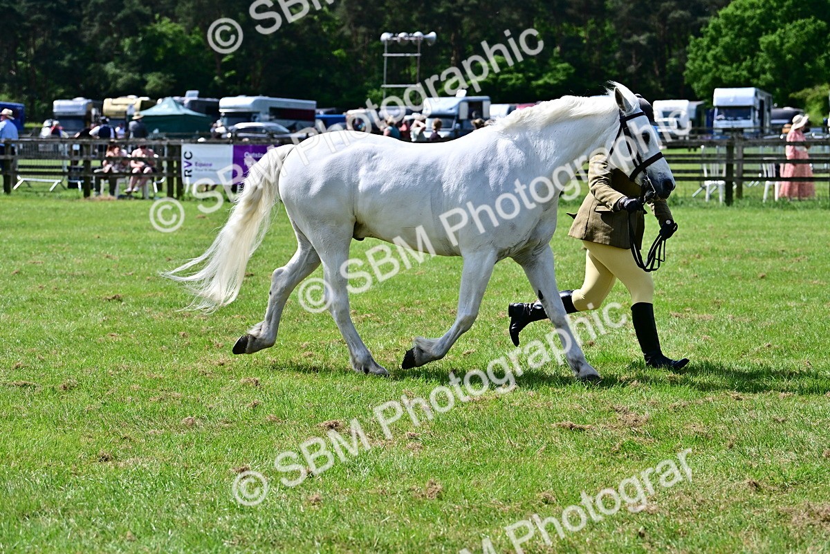 SBM_03858 - Class 58 - TSR  Ridden Veteran Amateur of the year