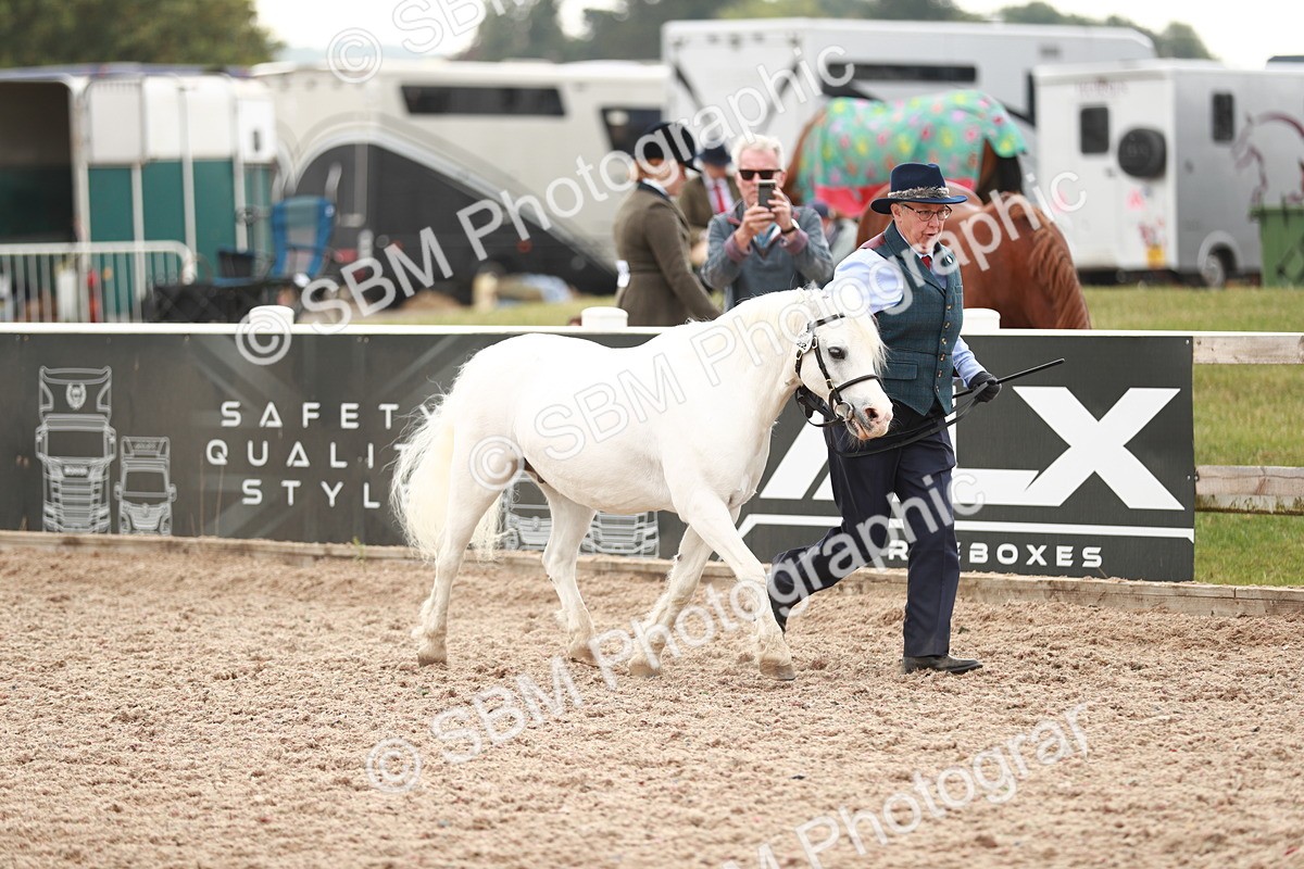 SBM_12448 - Class 207 IH M&M