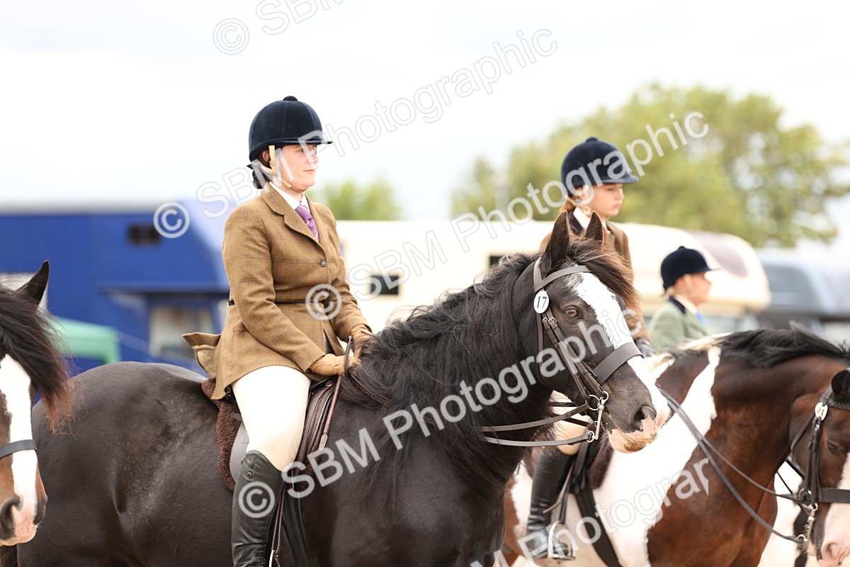 SBM_19704 - Class 216 - Ridden Traditional - Native Cob