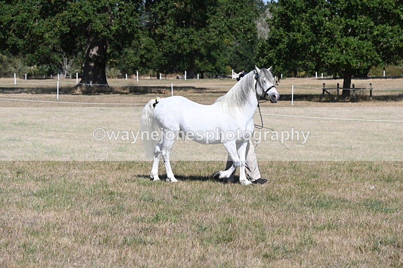 WJ6_4416 - Class 17 Mountain & Moorland