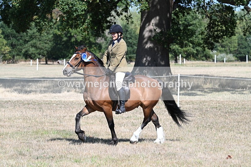 WJ7_4241 - Class 9 Mountain & Moorland Ridden