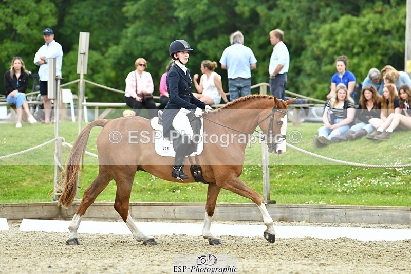 230525-122224-04236 - 208-NICO-Holly_Clarke-WEDTrotUp+DR