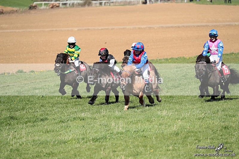 Shet 060426 266 - Shetland Pony Racing Paxford Races Easter Mon 06/04/26
