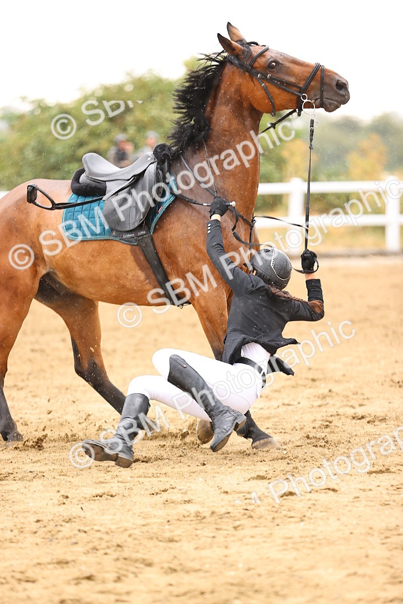 SBM_025054 - Class 9 - Senior British Novice - 90cm