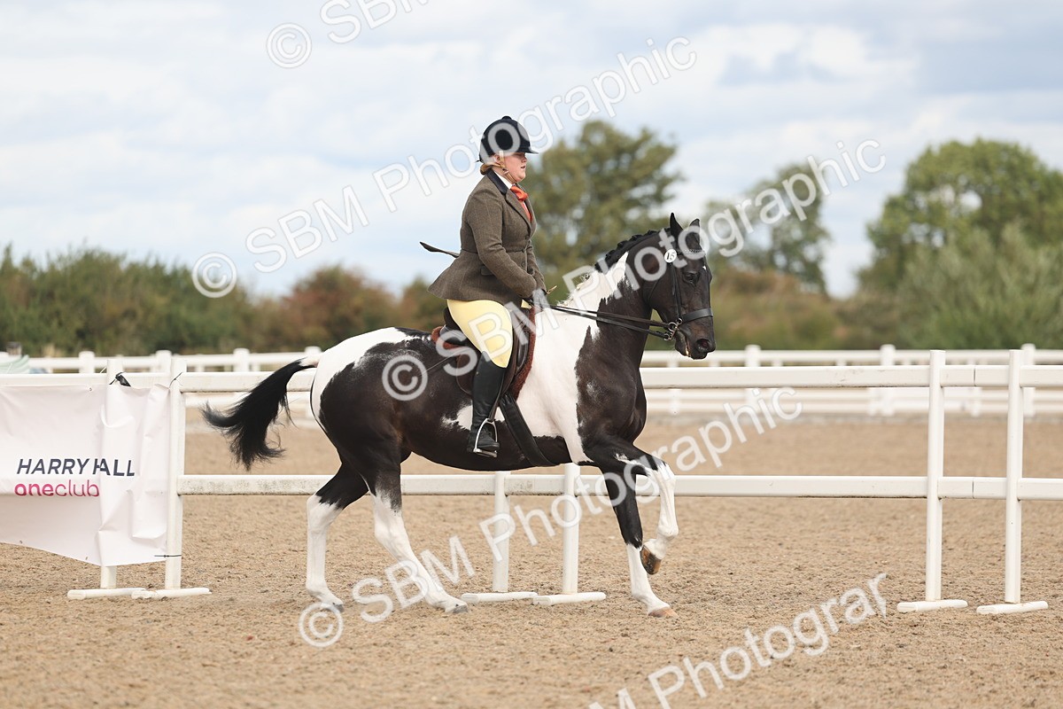 SBM_14754 - Class 308 - Ridden Coloured Horse
