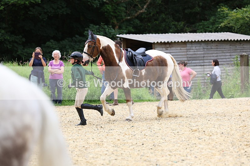 3E7A9423 - Walk trot run