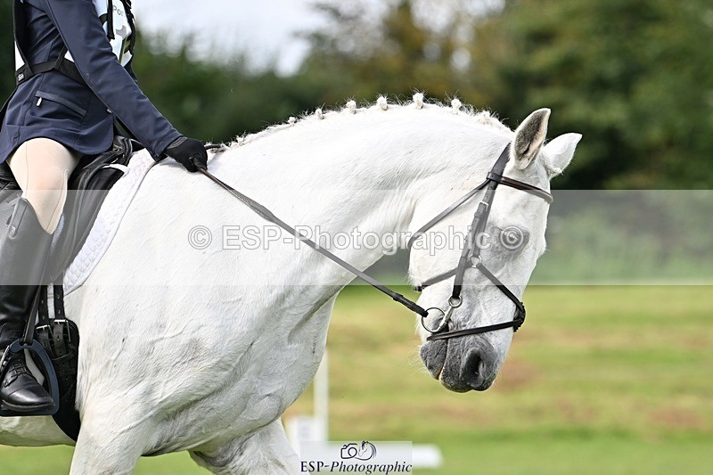 230826-110107-16806 - Sections A & B 10 to End