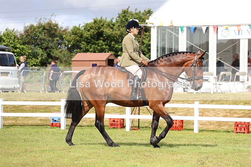 3E7A9247 - Class 4: Rising Star M/H Hunter