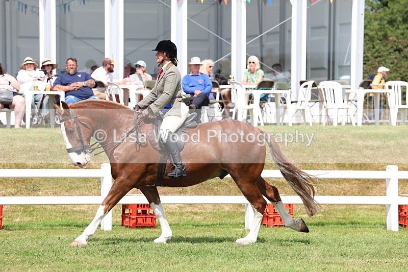 3E7A0568 - Rising Star Ridden Championship