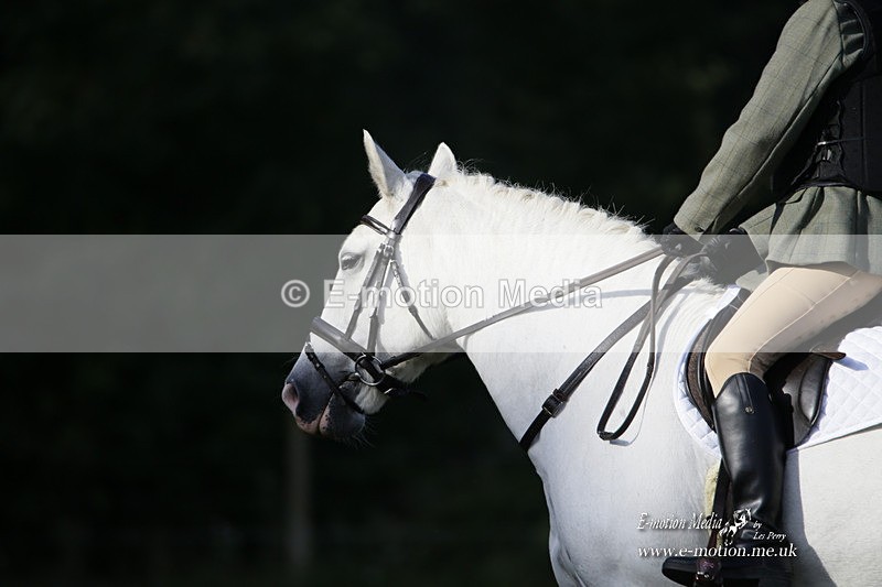 BVRC 120921 59 - Bourne Valley Riding Club UA Dressage & Show Jumping 12/09/21