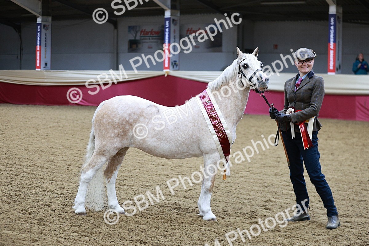 SBM_00358 - Class 1A - Area IH Diamond