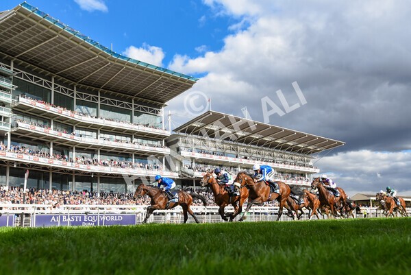 yr19082022r6-31 - Race 6 4.45 pm British Stallion Studs EBF Convivial Maiden Stakes