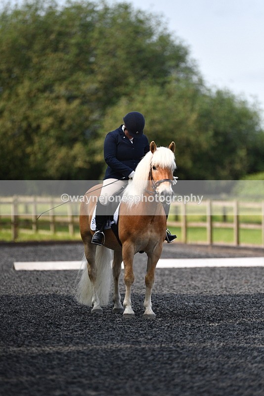 WJ5_9240 - Time 10:10 to 10:47