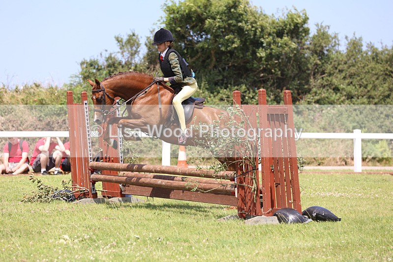JPP_2584 - Class 21: Working Hunter 60cm