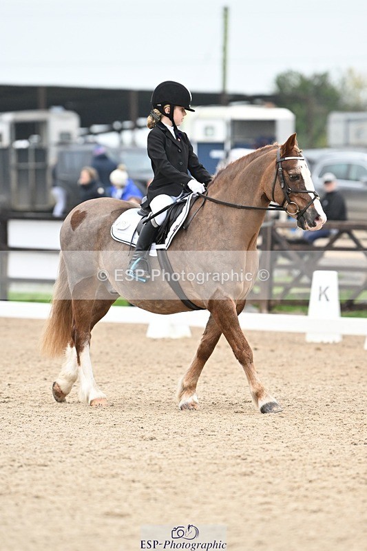 241103-113818-00558 - Intro 3 - 10.50 to 11.44