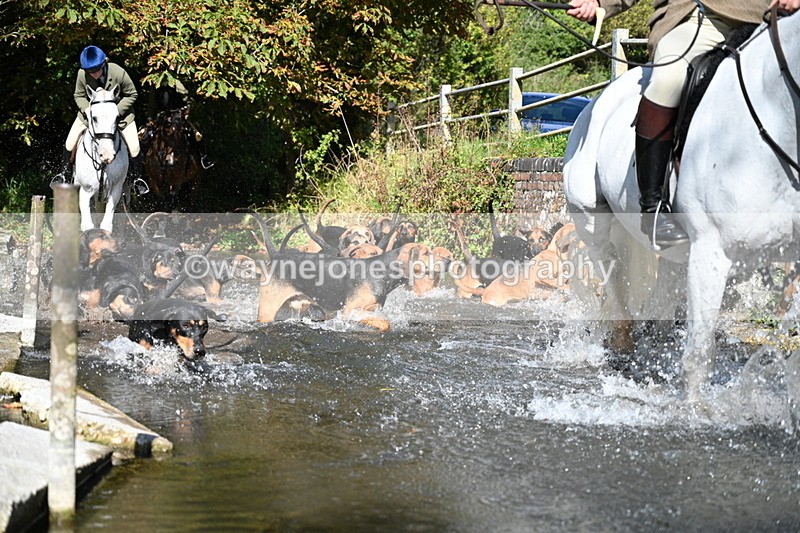 WJ7_5958 - Hounds Water Crossing