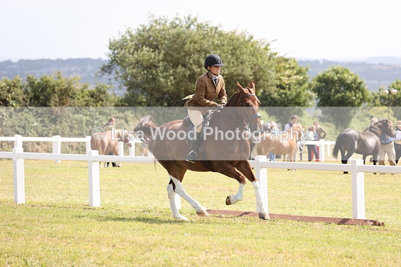 JPP_1387 - Class 17: Cornish Combination Open