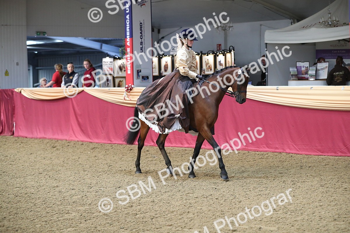 SBM_11242 - Class 104 Ridden Costume - Astride Junior