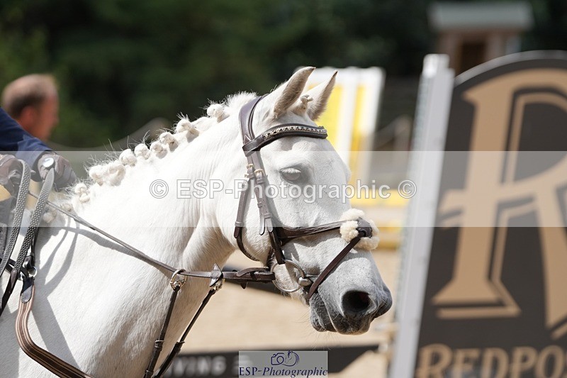 250822A-113736-21173 - WC Round 2 11.10 to 12.20