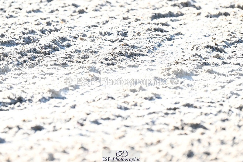 231110-110941-00340 - Cls 2 Prelim 17(a)Q