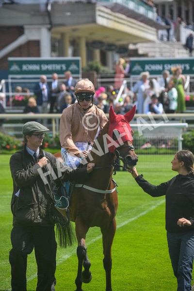 150723-Race 2-Nymphadora-0142 - Race 2 2.35pm John Smith's City Walls Stakes