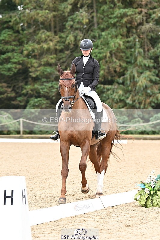 250808A-103306-00347 - 024-Daisy.Hedges-Felicia.V