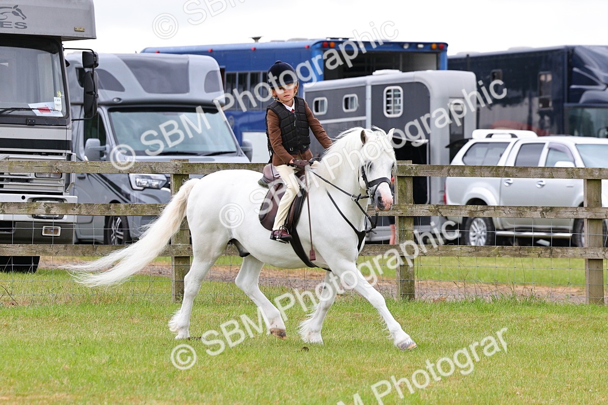 SBM_08683 - Class 42-43 - LIHS BSPS Heritage Working Sports Pony