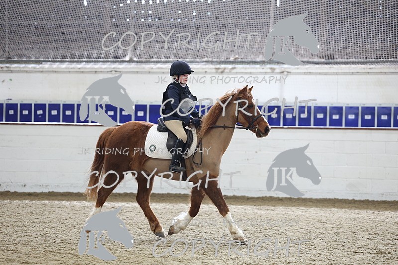 AJG_2227 - Class 2 50cm