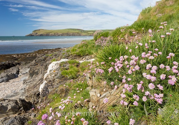 P173 - Pembrokeshire p/c catalogue