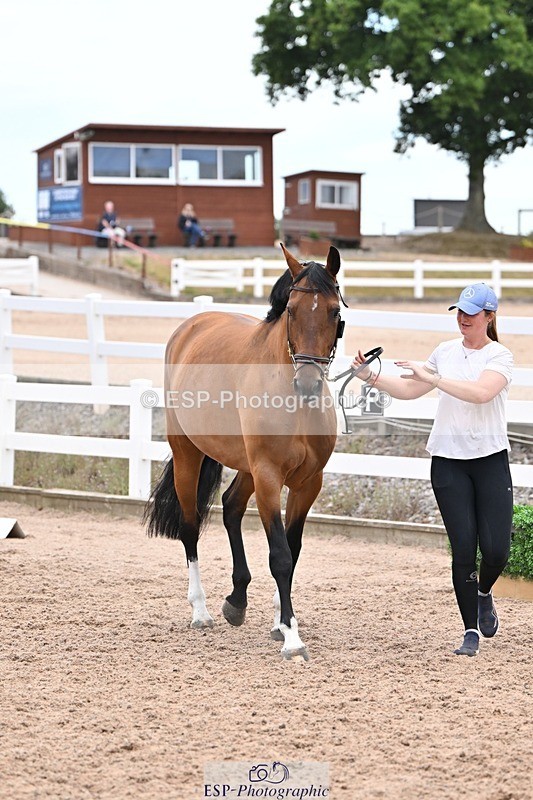 250716-140541-00908 - Trot Up 1.30 to 2.30