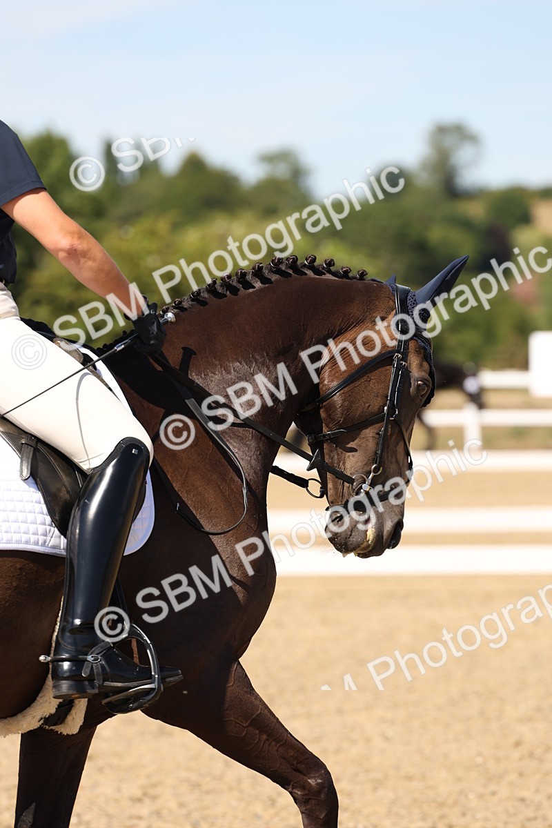 SBM_003716 - Elementary 4