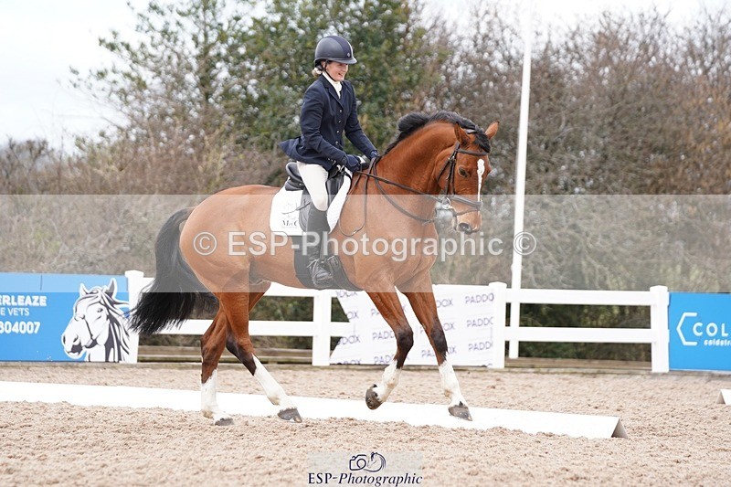 250322-115542-00273 - DR Novice 2 Test