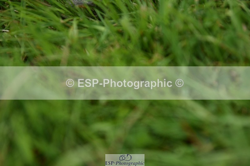 240605-121218-00296 - Cls 3 Novice 23