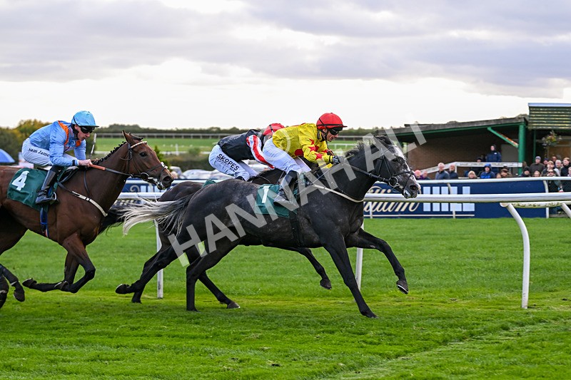 171026-Race 5-Brighton Boy-5982 - Race 5 3.25pm William Hill Epic Boosts Handicap (Div I)
