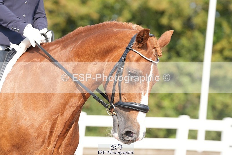 250817-102044-08042 - 167-Jane.EmmettTresorya.Carlo