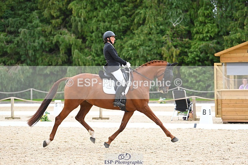 230813-143013-07778 - Cls 13 Medium Bronze 13.15 to End