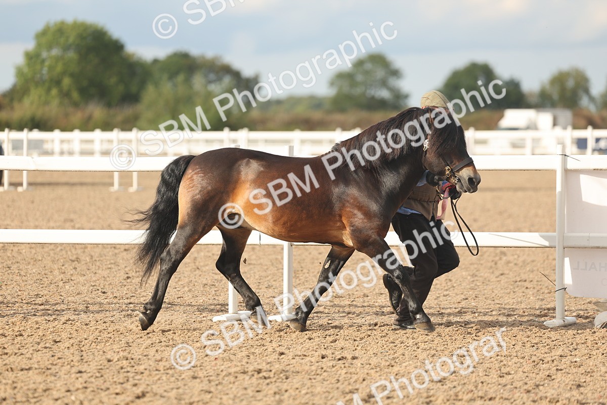 SBM_08615 - Class 29 - IH Veteran Pony