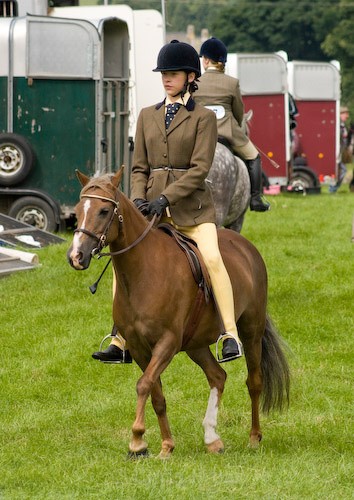 71 - Moniaive Horse Show 2008