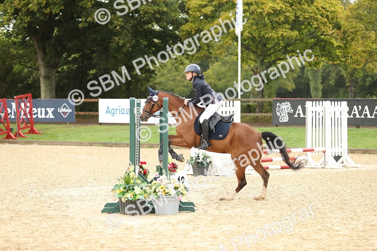 SBM_34207 - J60 Clear Round 50cm