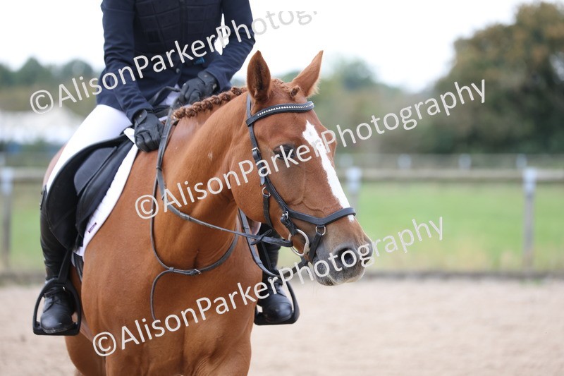 20250907-0250 - Class 3 - 80cm