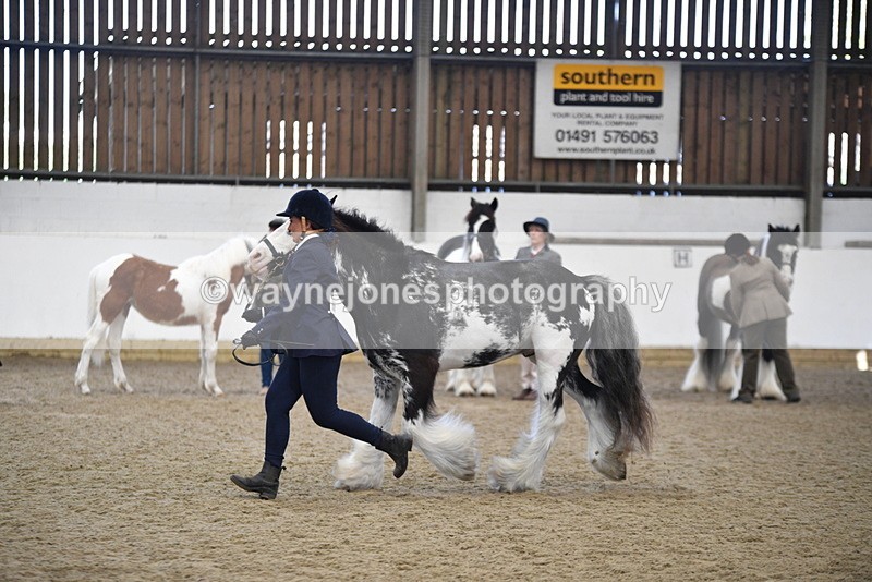 WJ5_4689 - Class 7 In hand coloured / odd coloured