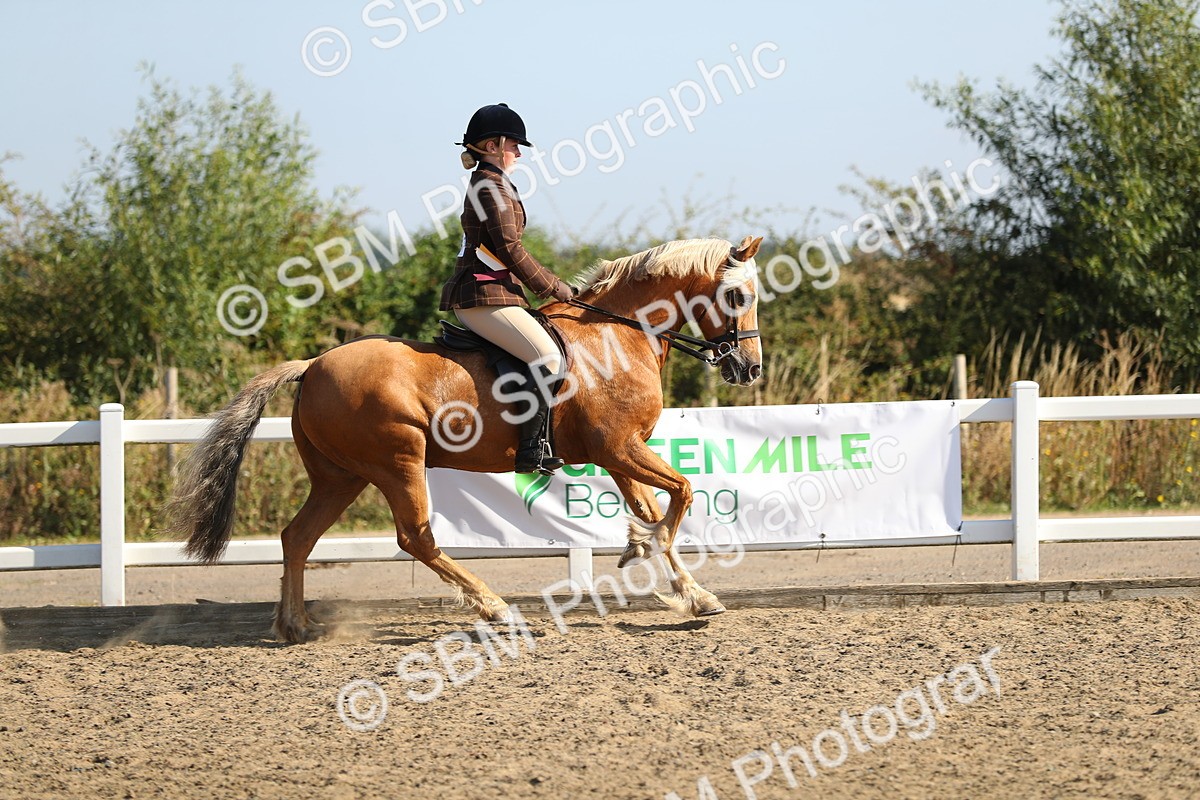 SBM_01267 - Class 42 Ridden Veteran