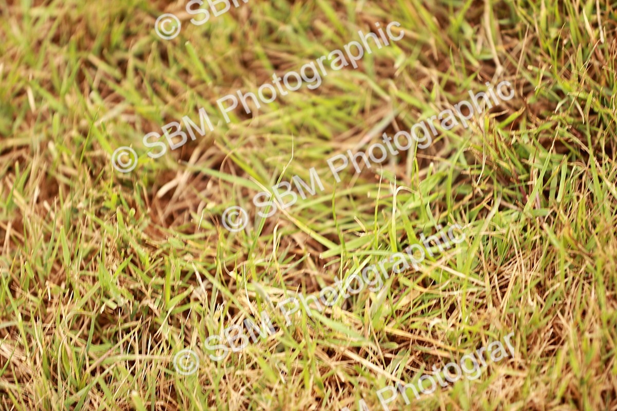 SBM_04600 - Class 5-8 - BSPA In hand
