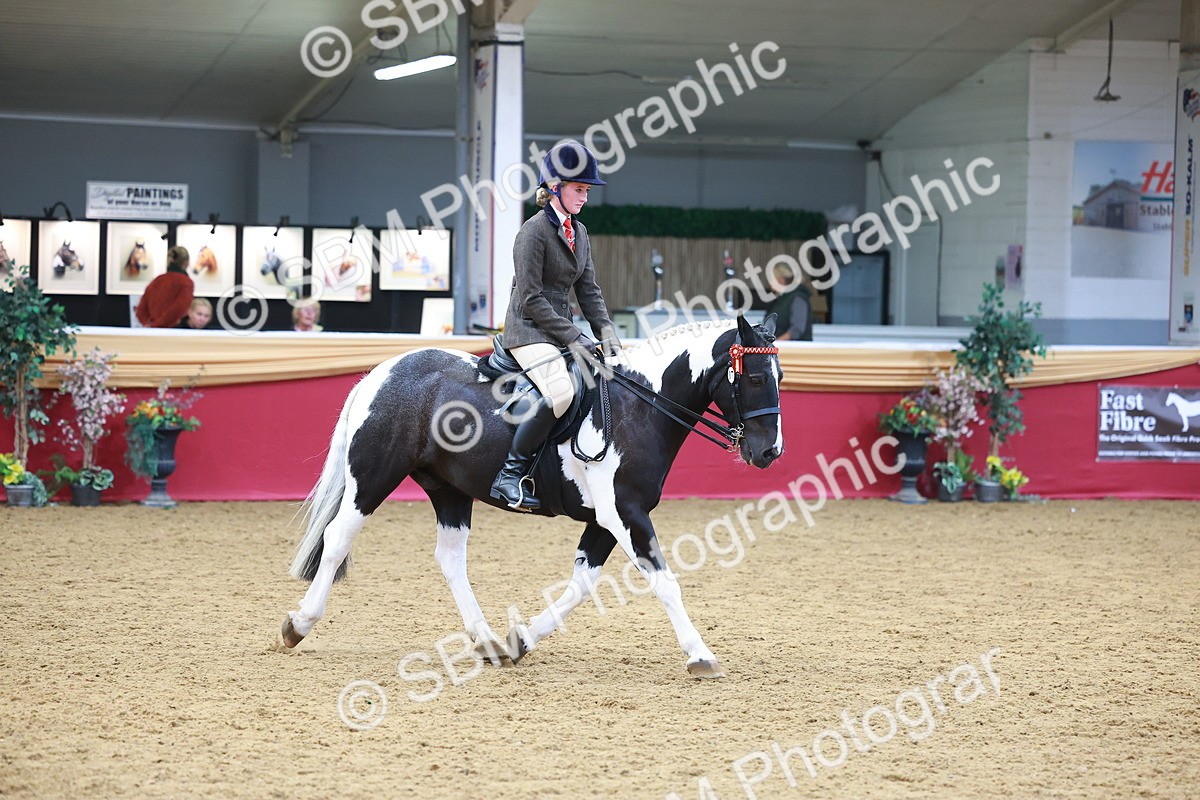 SBM_06133 - Class 12R - Ridden Pre-Vet