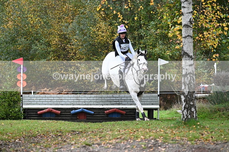 WJ7_2920 - 90cm Cam 2 Water Time 13:29 to 13:47