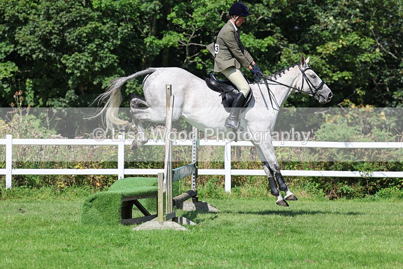 3E7A8580 - Class 5: Working Show Horse