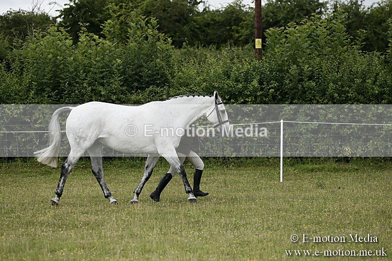 BVR160717-206 - Ring 2 BVRC Show 16/07/17