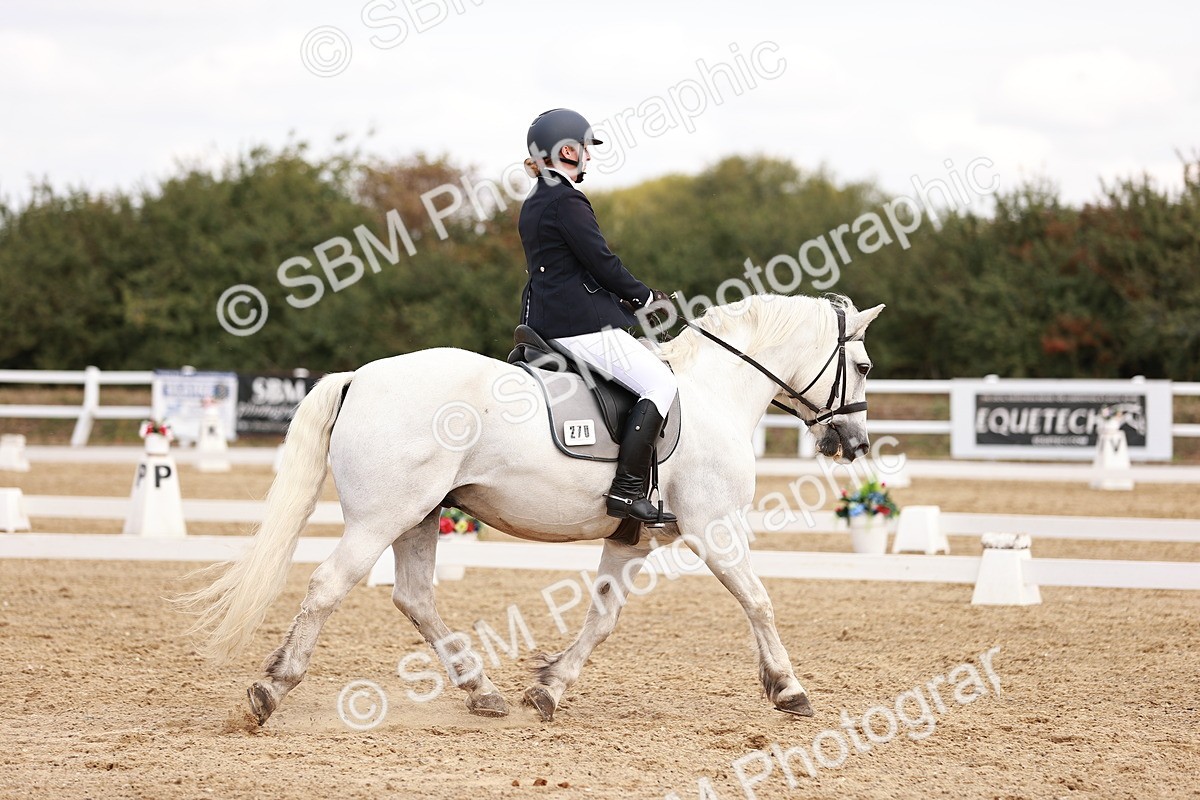 SBM_018019 - Class 15 - Prelim 6