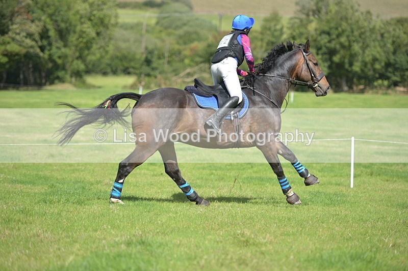 RAY_8731 - Class 2: Trekenning Open: Wall